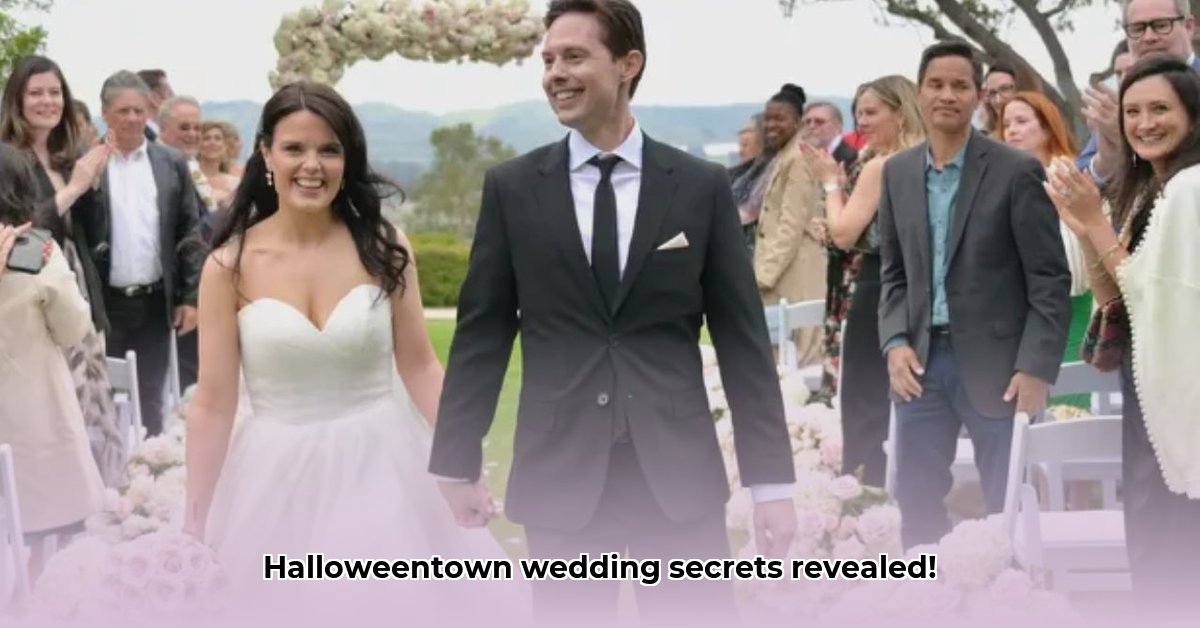 daniel-kountz-net-worth